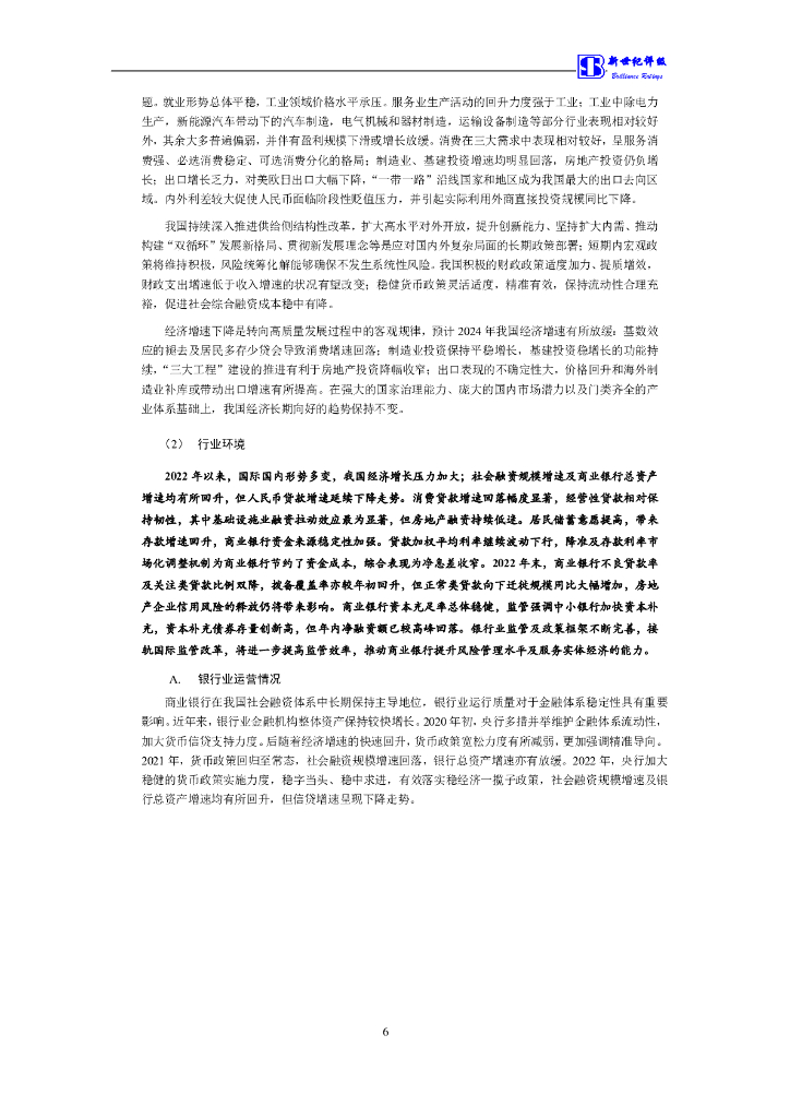 新世纪：上海浦东发展银行股份有限公司2024年第一期金融债券信用评级报告及跟踪评级安排说明_第7页