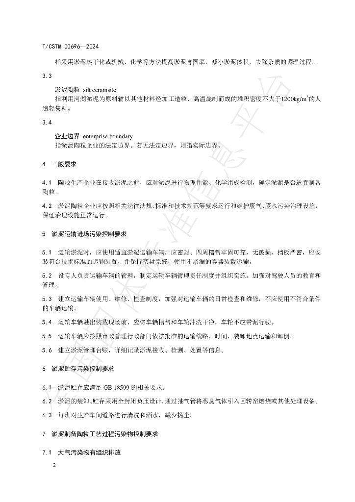 T/CSTM 00696-2024 标准预览