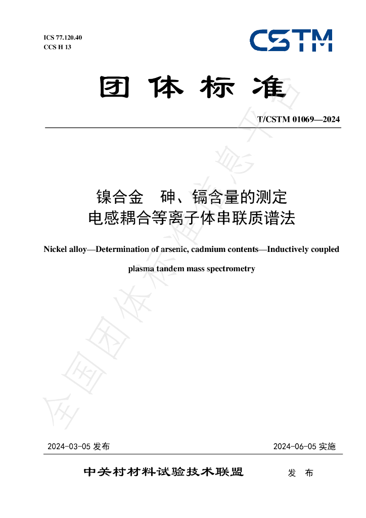 T/CSTM 01069-2024 标准预览