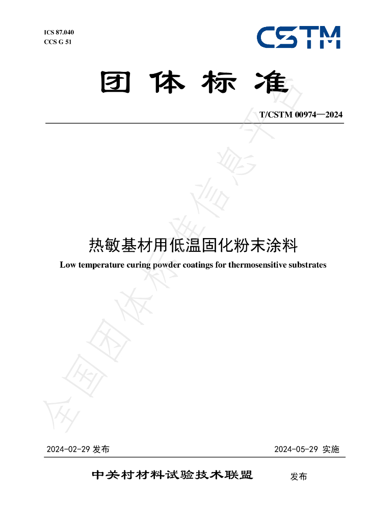 T/CSTM 00974-2024 标准预览