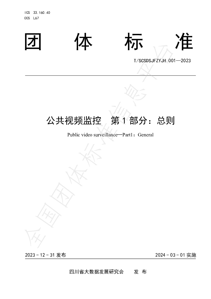 T/SCSDSJFZYJH 001-2023 标准预览