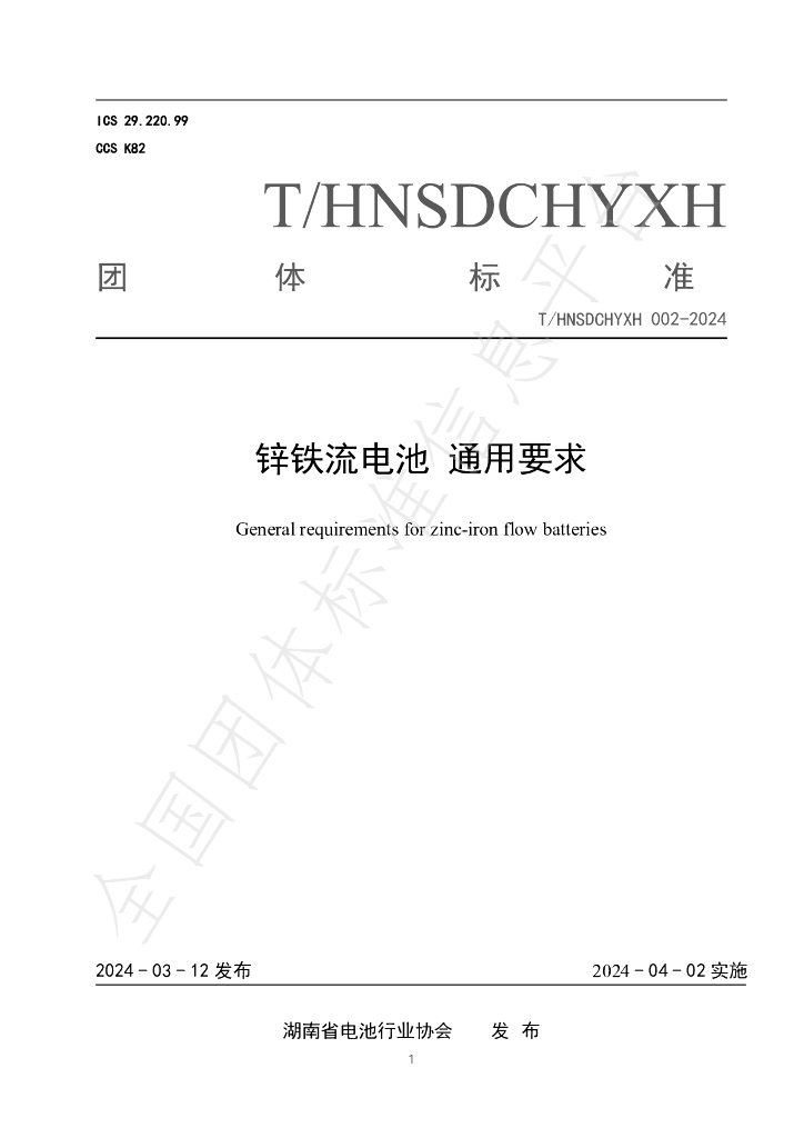 T/HNSDCHYXH 002-2024 标准预览