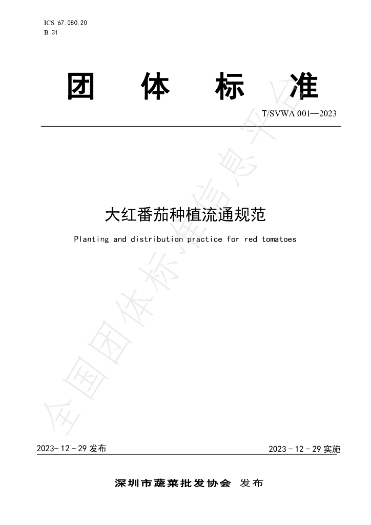 T/SVWA 001-2023 标准预览