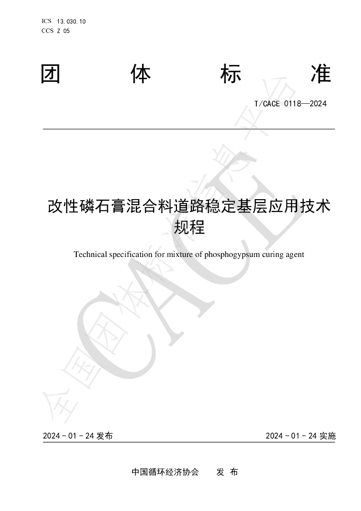 T/CACE 0118-2024 标准预览