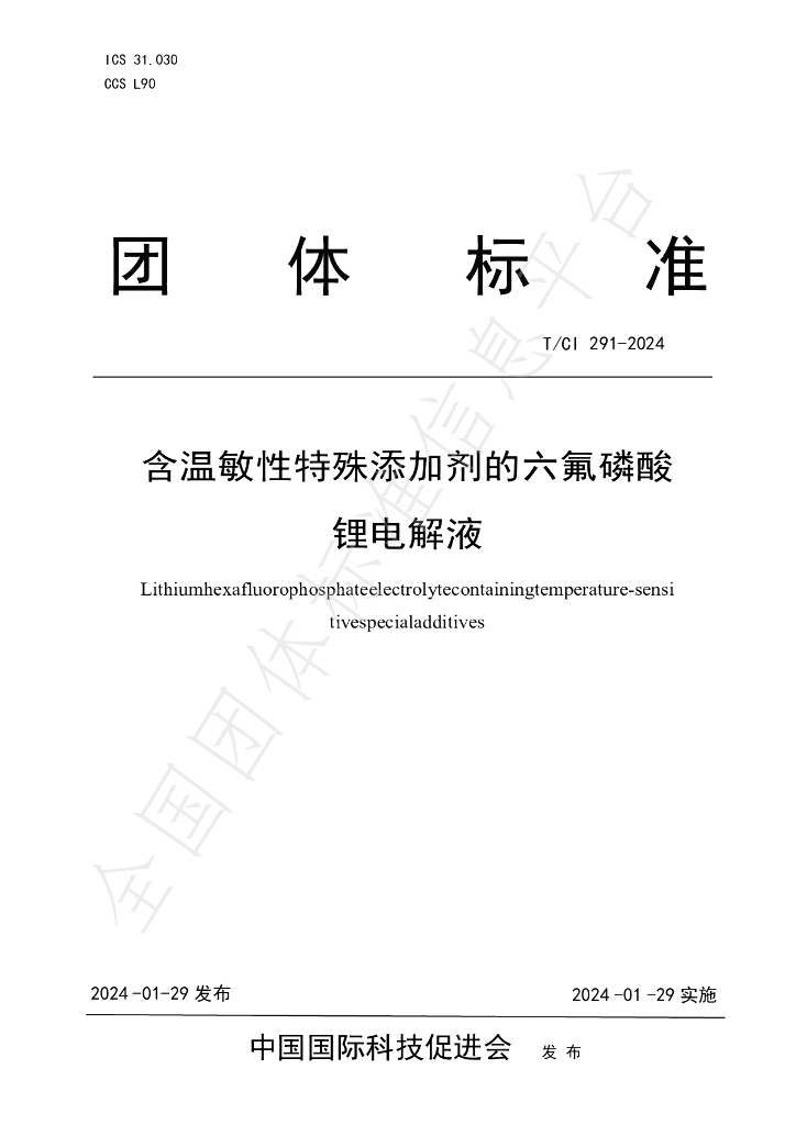 T/CI 291-2024 标准预览