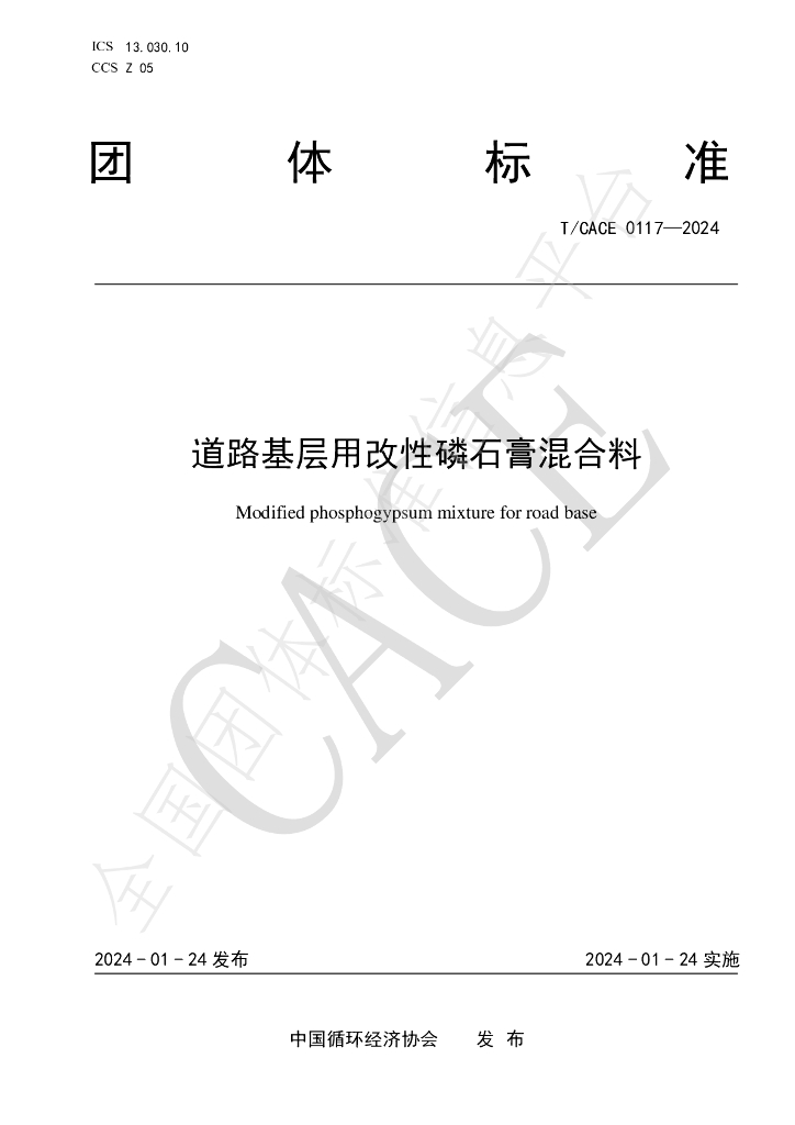 T/CACE 0117-2024 标准预览