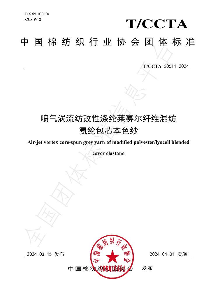 T/CCTA 30511-2024 标准预览