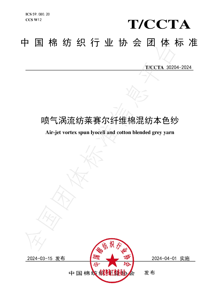 T/CCTA 30204-2024 标准预览