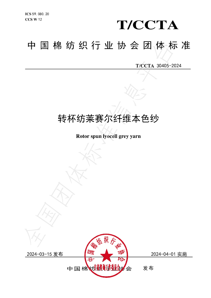 T/CCTA 30405-2024 标准预览
