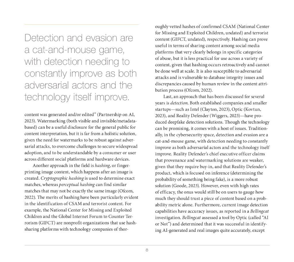 Rand兰德：2024人工智能图像危害分析与网络真实性维护报告（英文版）_第8页