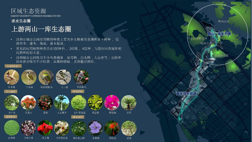西乡河碧道建设工程景观设计深化方案_第6页