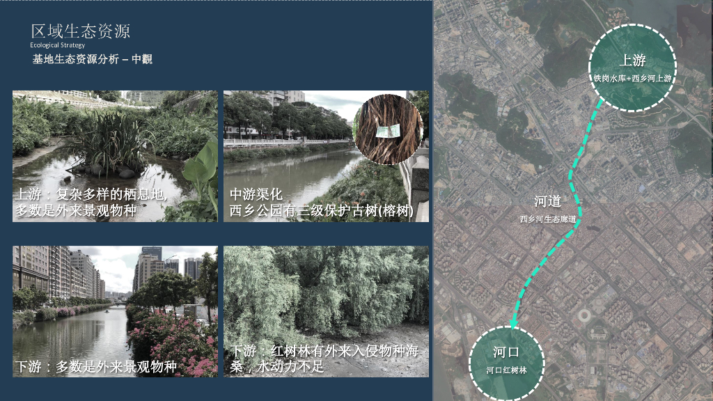 西乡河碧道建设工程景观设计深化方案_第8页