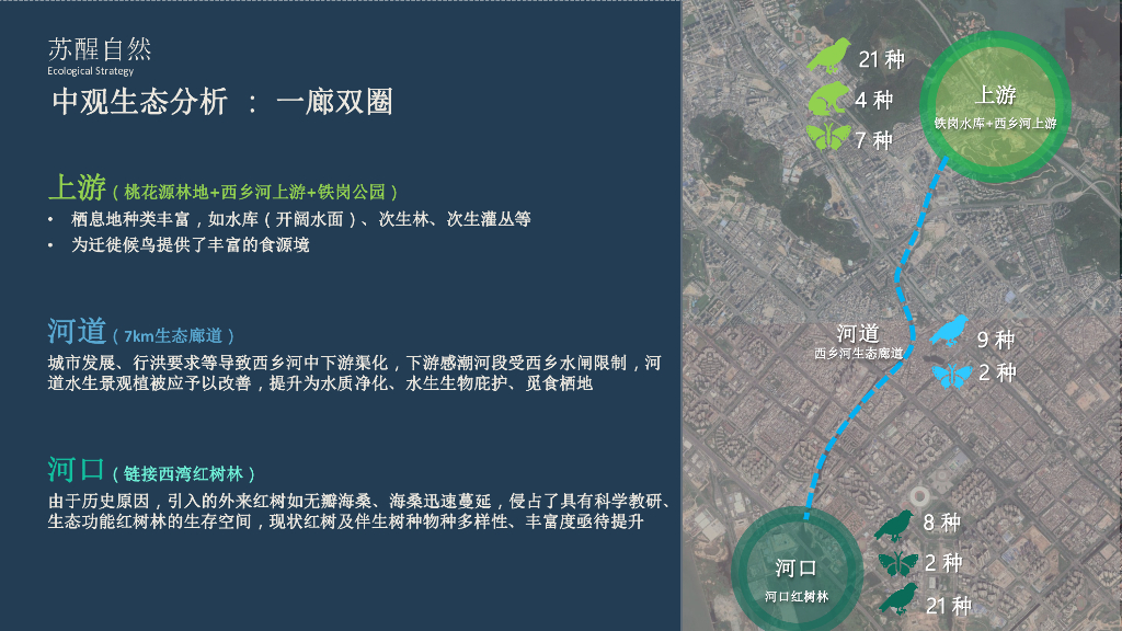 西乡河碧道建设工程景观设计深化方案_第9页