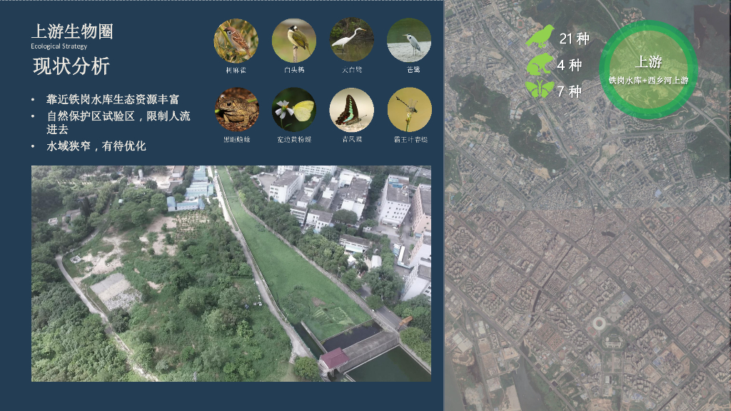 西乡河碧道建设工程景观设计深化方案_第10页