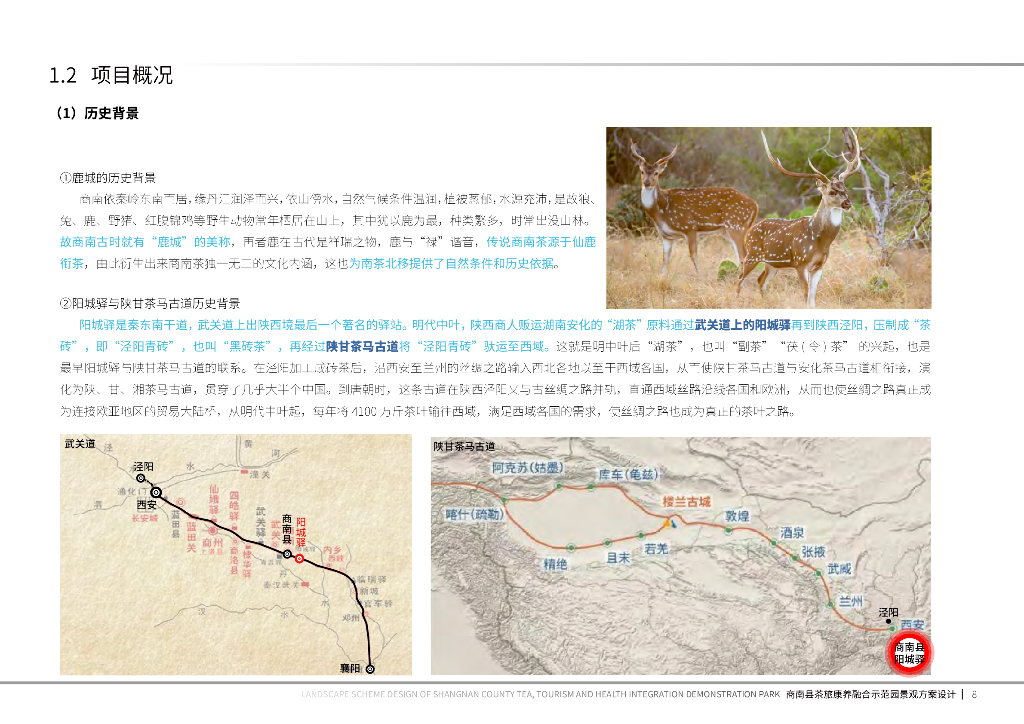 茶韵商南+品茗秦岭茶旅康养示范园景观方案_第8页