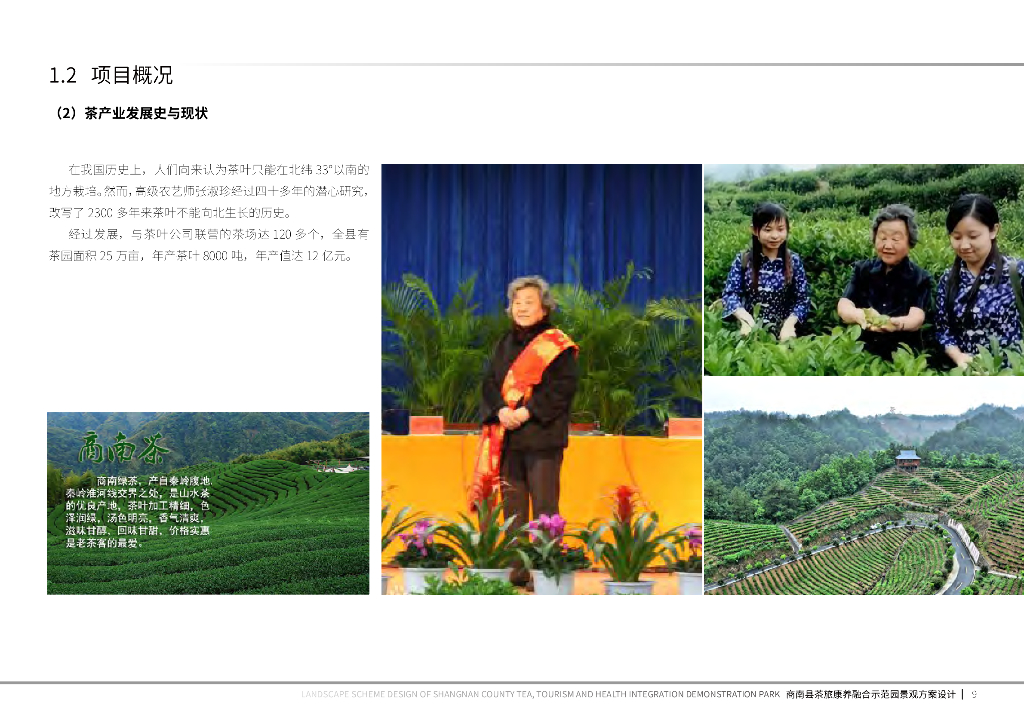 茶韵商南+品茗秦岭茶旅康养示范园景观方案_第9页