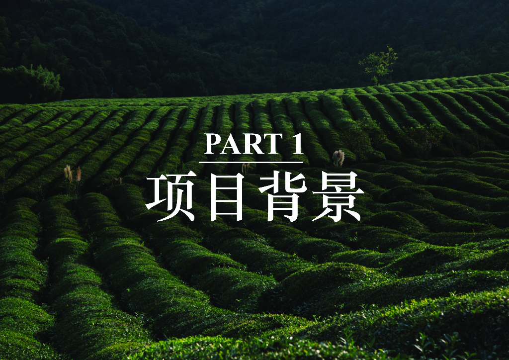 T三茶庄+创新策源文化旅游项目景观设计方案_第6页