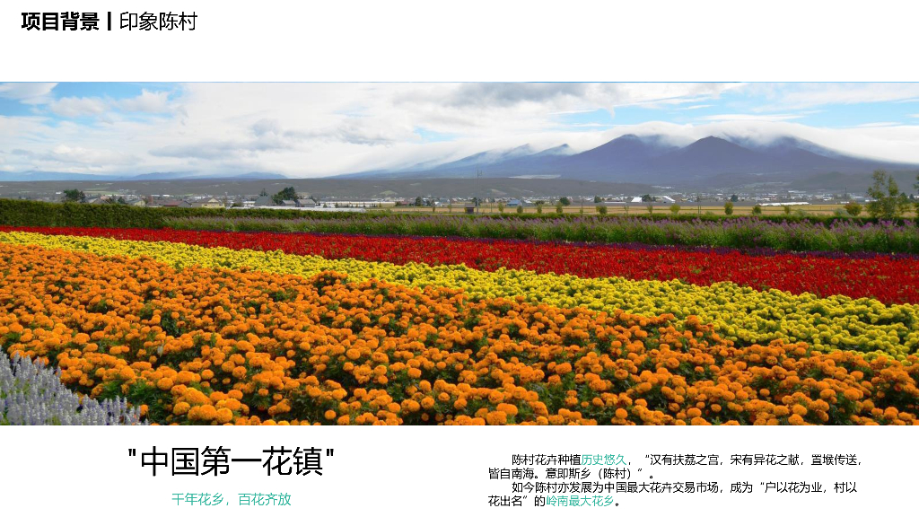 新圩里+谷埠印象陈村特色小镇规划设计方案_第7页