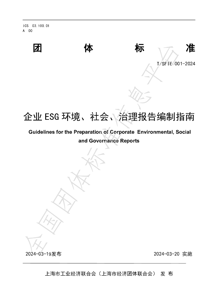 T/SFIE 001-2024 标准预览