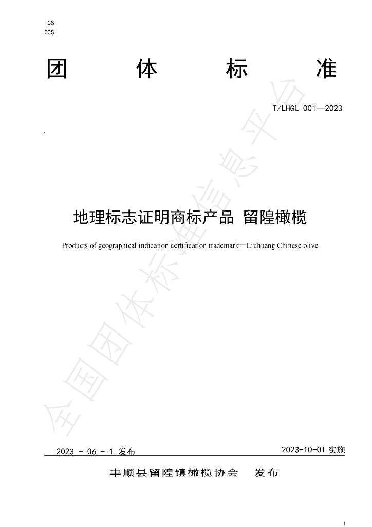 T/LHGL 001-2023 标准预览