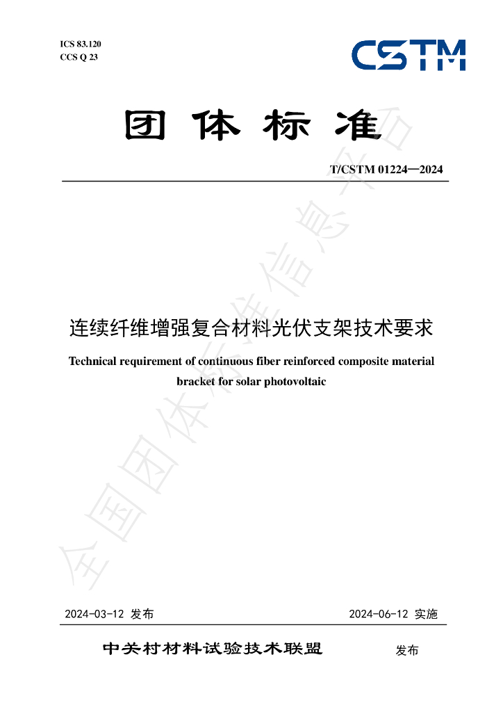T/CSTM 01224-2024 标准预览