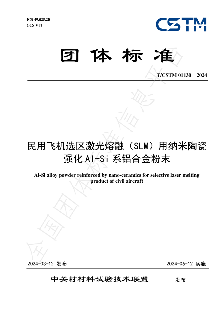 T/CSTM 01130-2024 标准预览