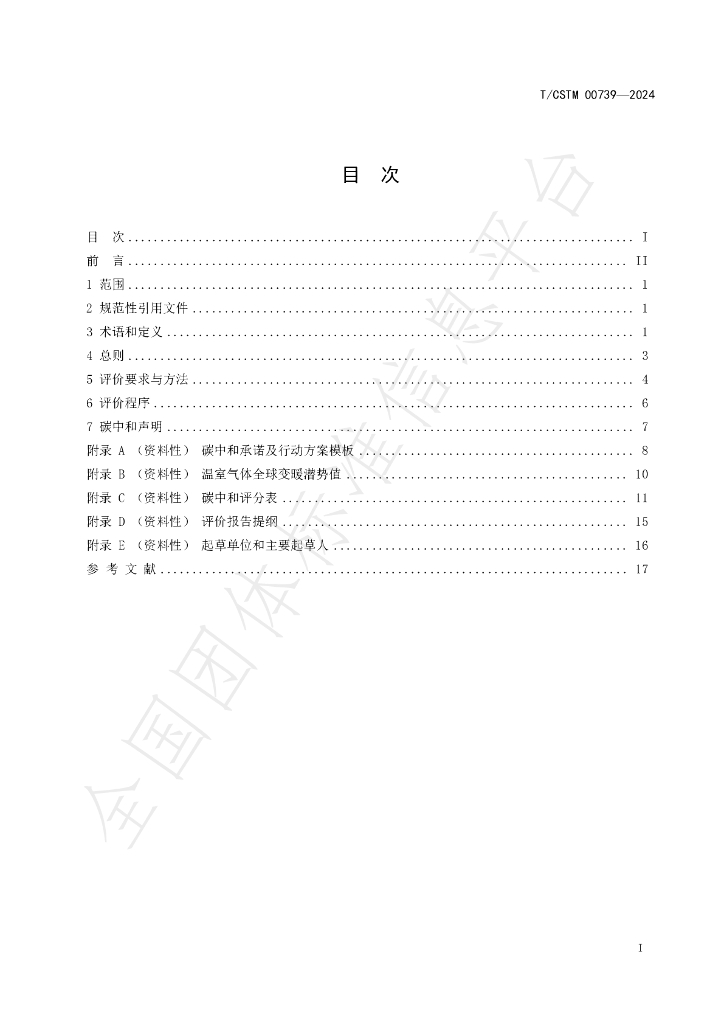 T/CSTM 00739-2024 标准预览