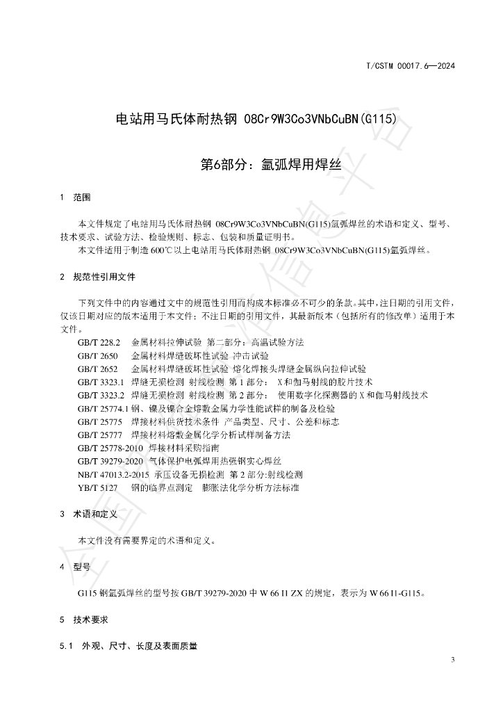 T/CSTM 00017.6-2024 标准预览