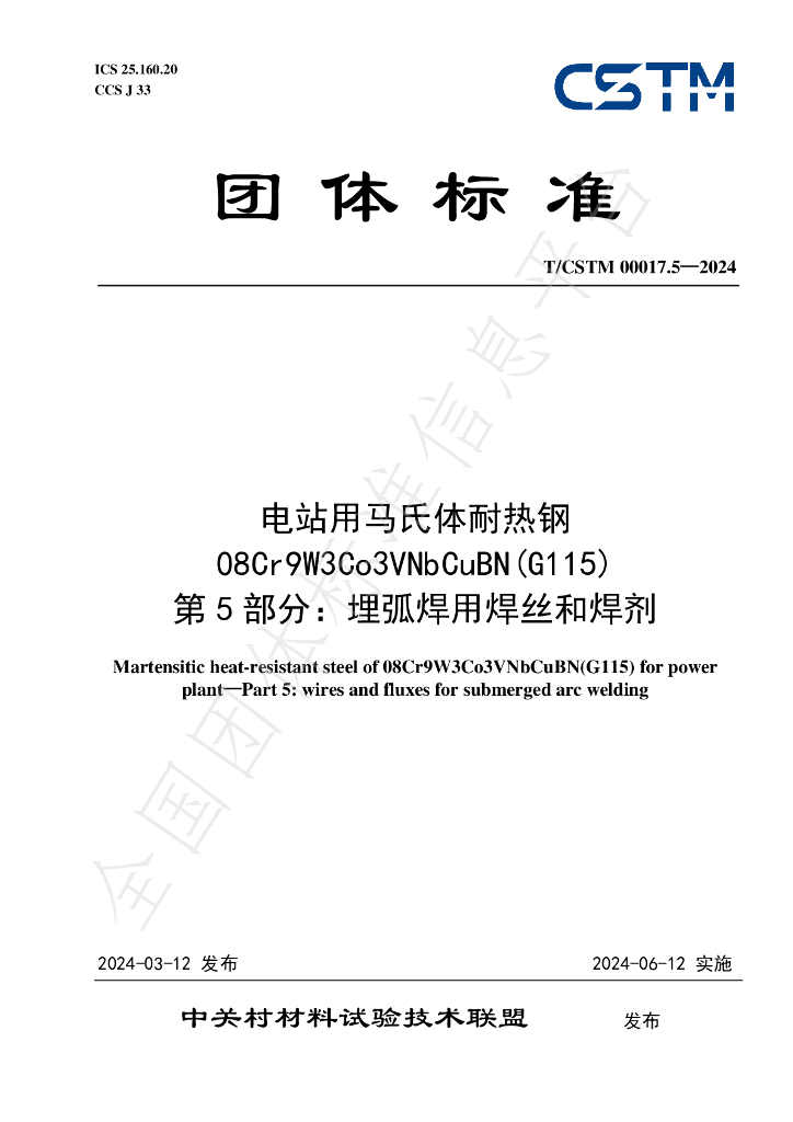T/CSTM 00017.5-2024 标准预览