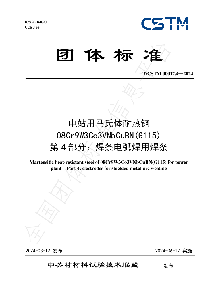T/CSTM 00017.4-2024 标准预览