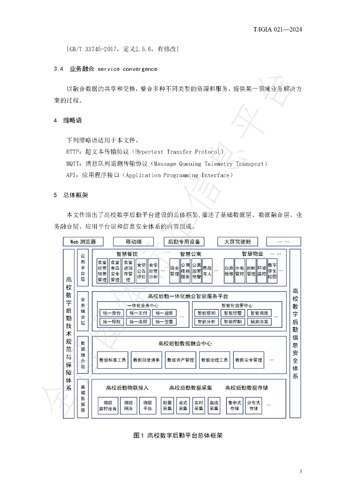 T/IGIA 021-2024 标准预览