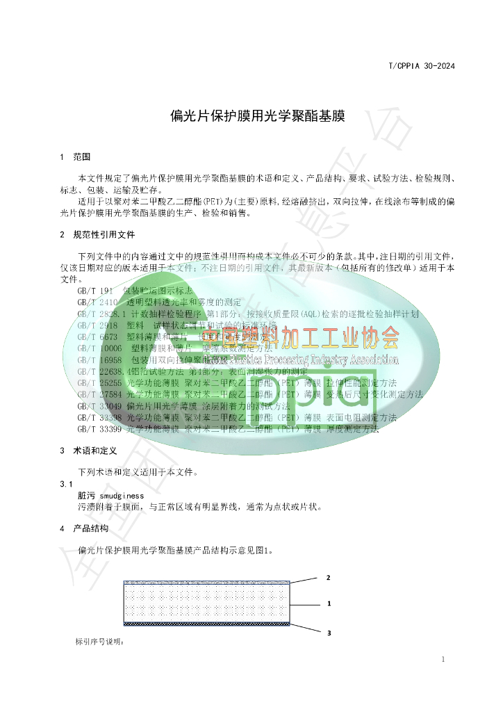 T/CPPIA 30-2024 标准预览