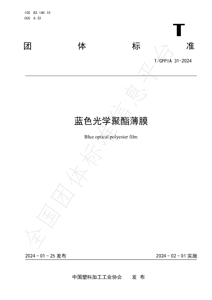 T/CPPIA 31-2024 标准预览