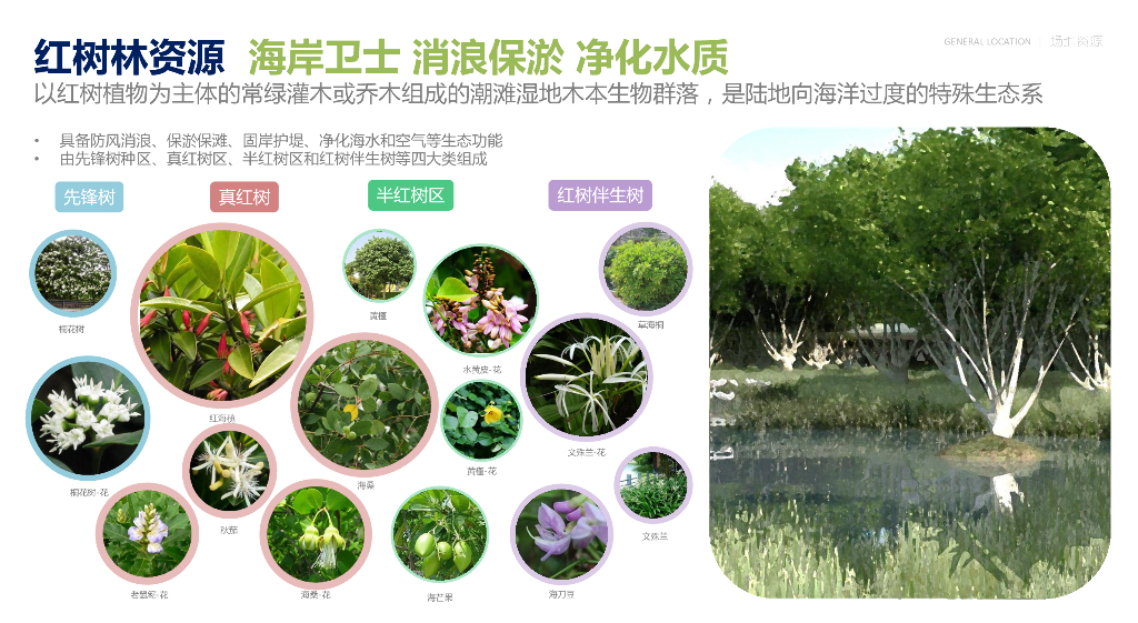 万里客+闻啼思悠哉湿地公园景观方案2022_第9页