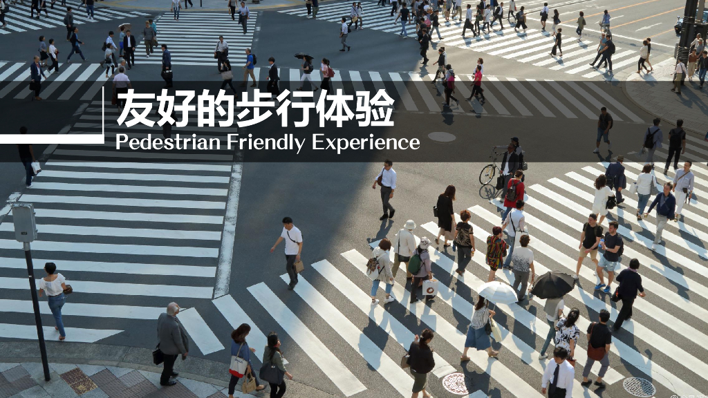 城市文脉+活力街区九里亭街道景观方案_第9页