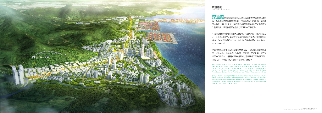 绿廊荟萃+盐田生活道路工程方案国际竞赛_第6页