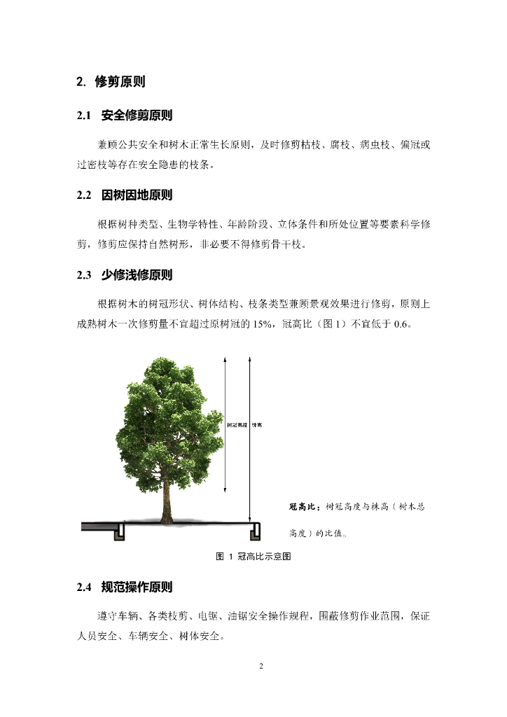 广州市树木修剪技术指引_第6页