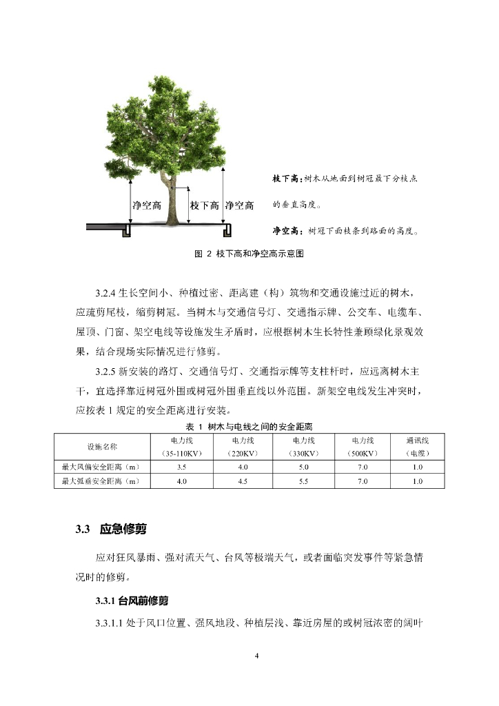 广州市树木修剪技术指引_第8页