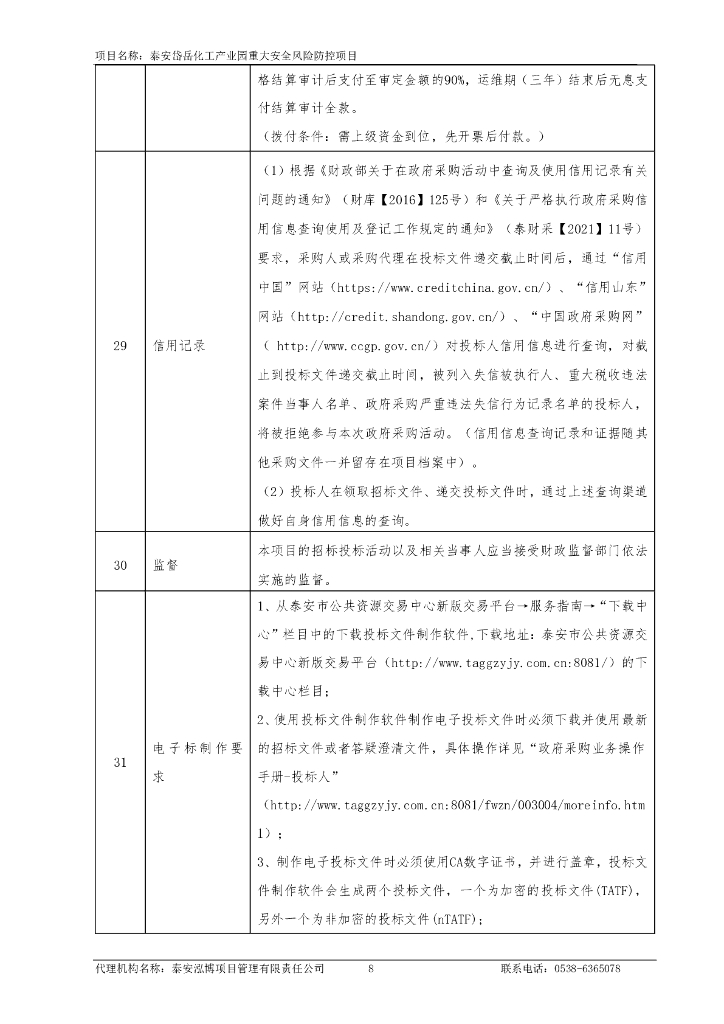 泰安岱岳化工产业园重大安全风险防控项目_第9页
