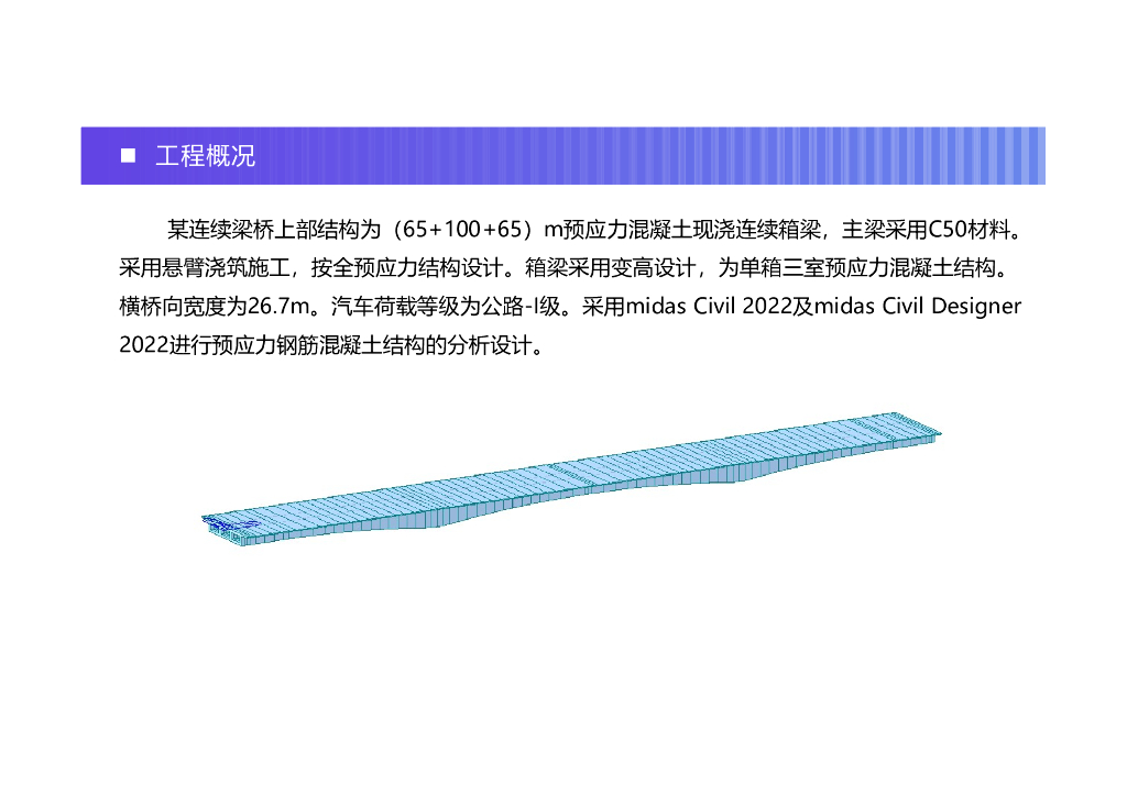 常规混凝土梁桥建模与计算要点56页PDF_第8页