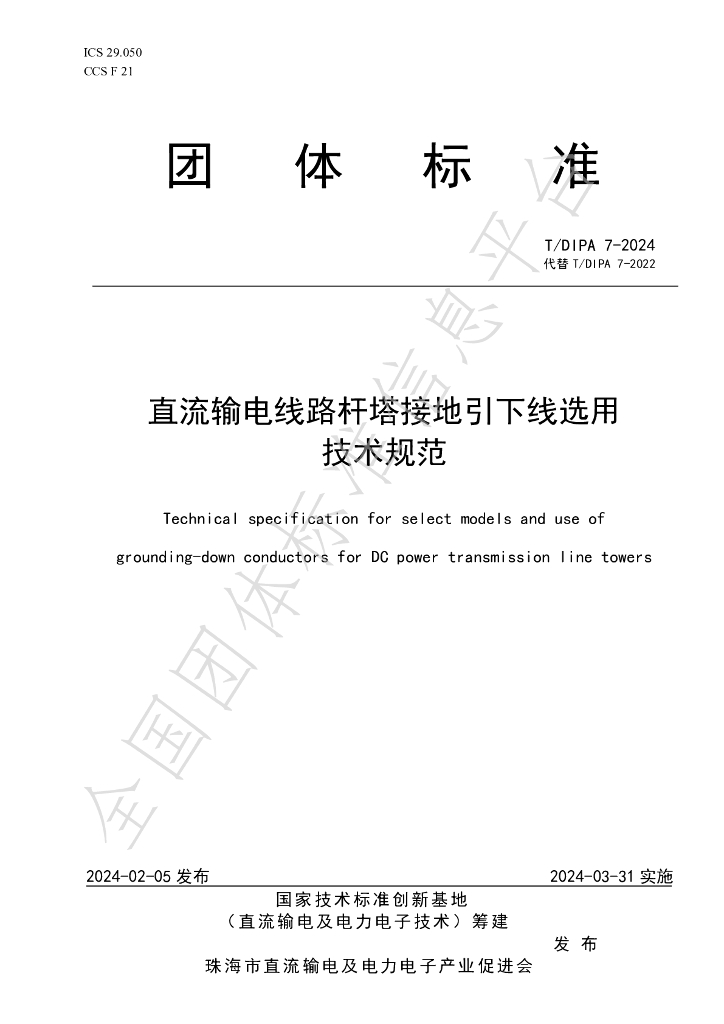 T/DIPA 7-2024 标准预览