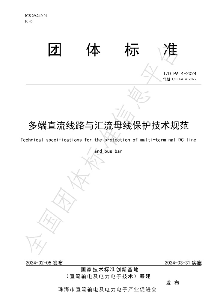 T/DIPA 4-2024 标准预览