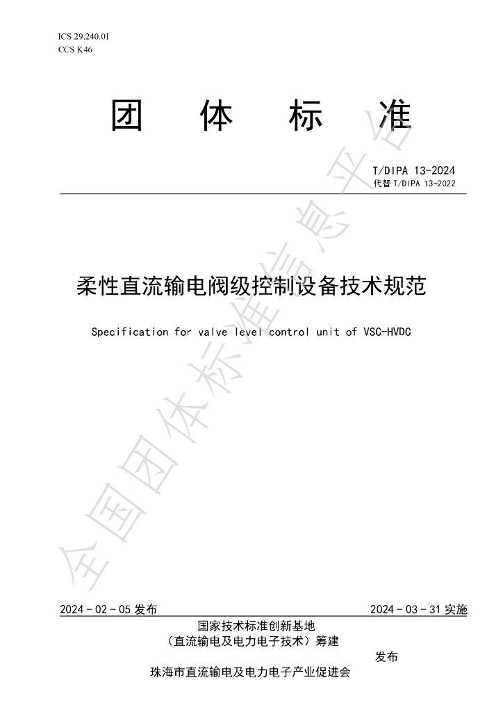 T/DIPA 13-2024 标准预览