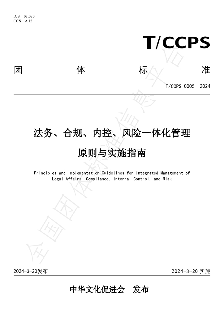 T/CCPS 0005-2024 标准预览