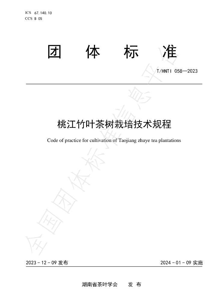 T/HNTI 058-2023 标准预览