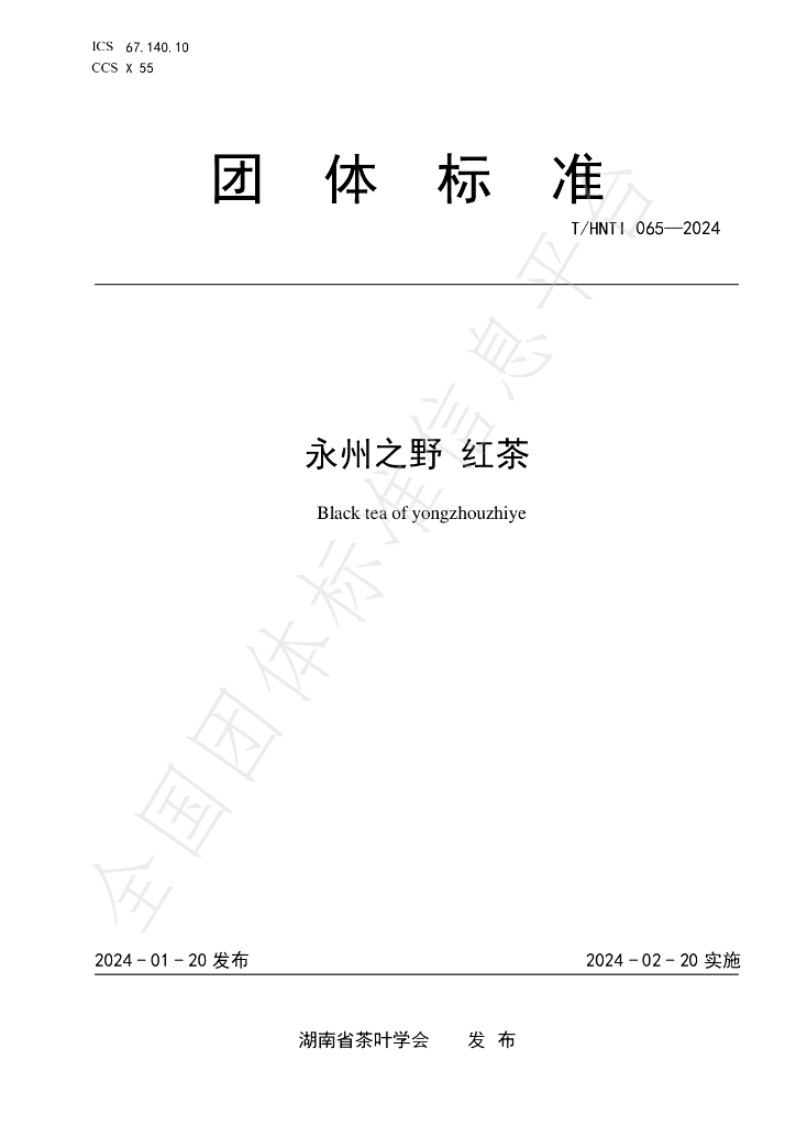 T/HNTI 065-2024 标准预览