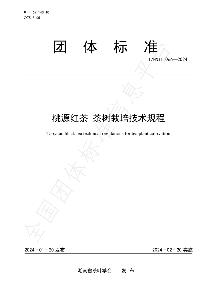 T/HNTI 066-2024 标准预览