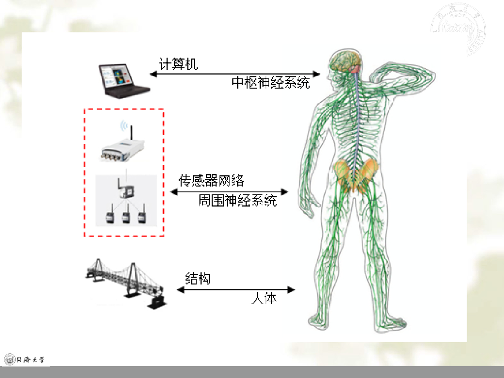 结构全寿命维护之结构安全长期监测（60P）_第8页