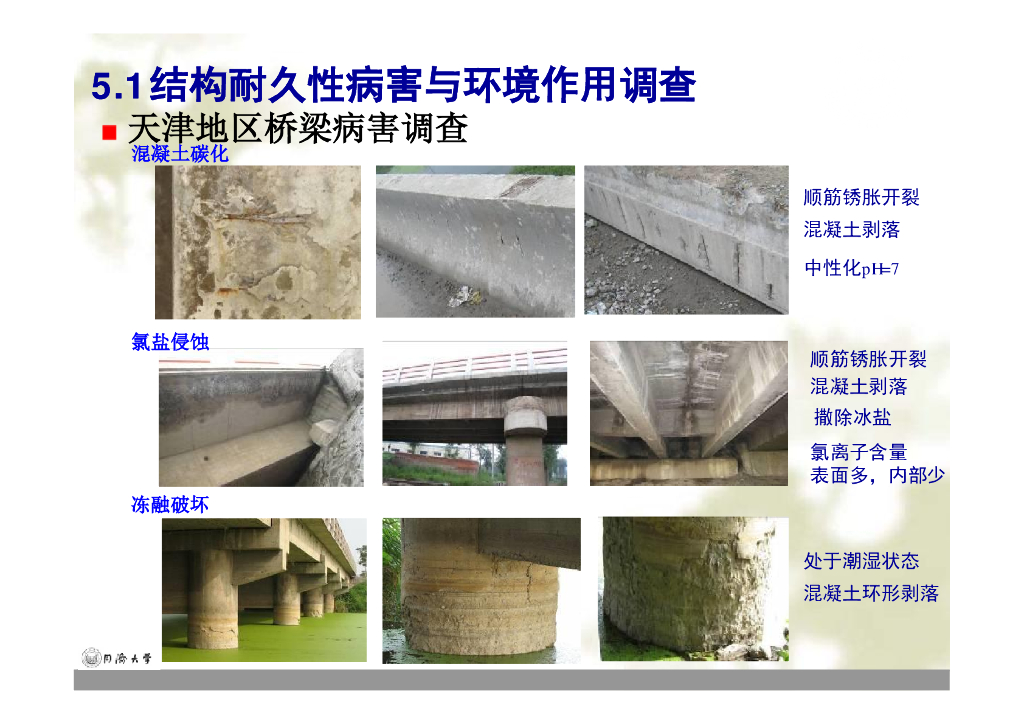 环境作用下结构材料的侵蚀机理（66P）_第6页