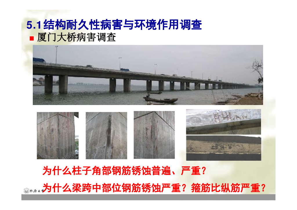 环境作用下结构材料的侵蚀机理（66P）_第7页